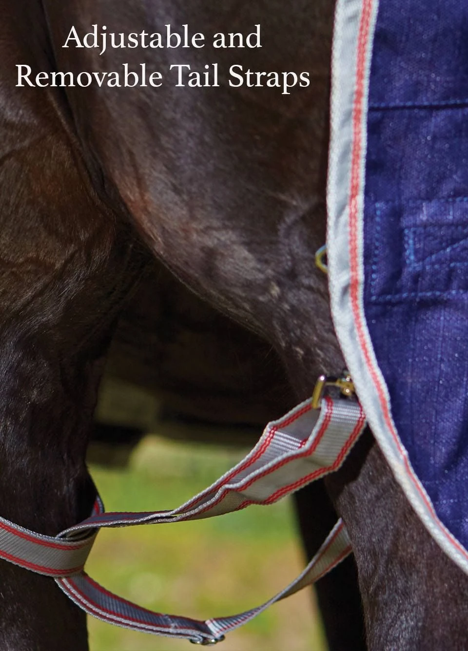 Weatherbeeta ComFiTec Essential Combo Lite Plus Turnout Rug - Navy/Silver/Red