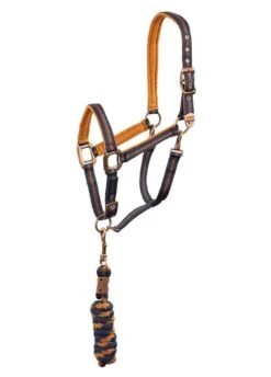 Anky Halter & Lead - Dark Navy