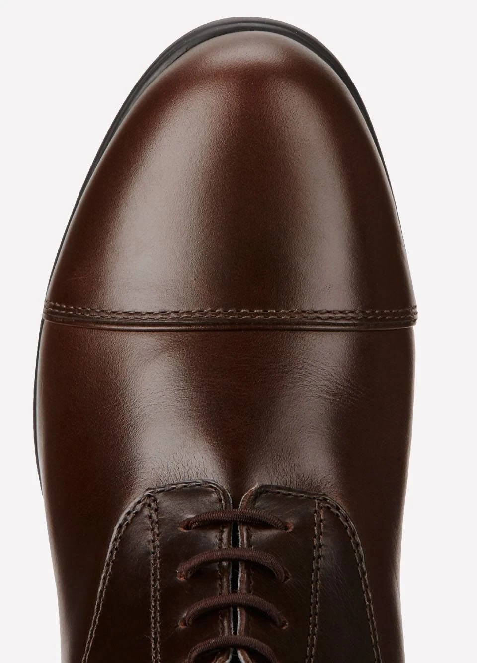 Ariat Women's Bromont Pro Tall H2O Insulated Boots - Waxed Chocolate