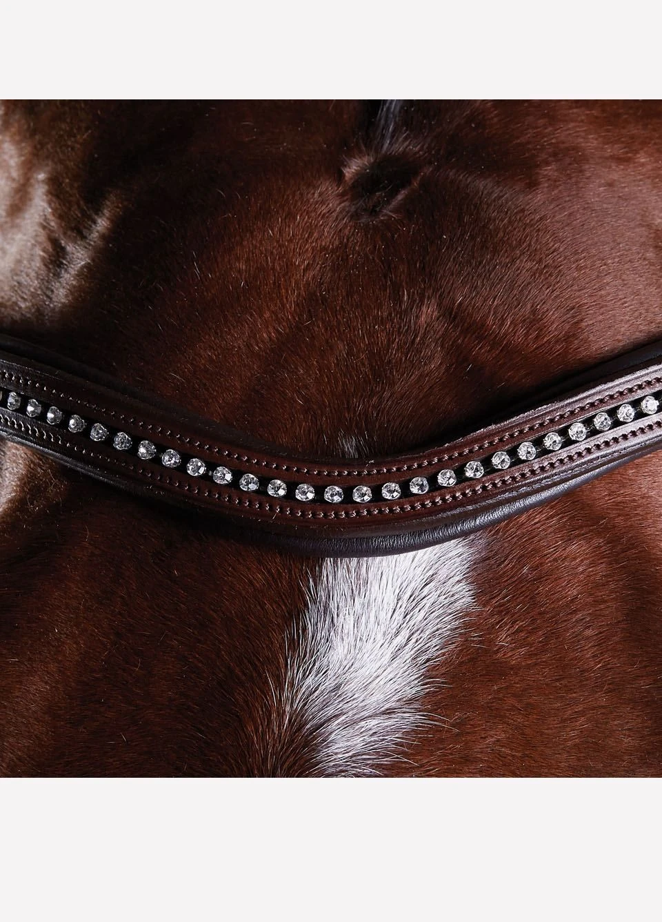 Collegiate ComFiTec Sheepskin Bridle - Brown