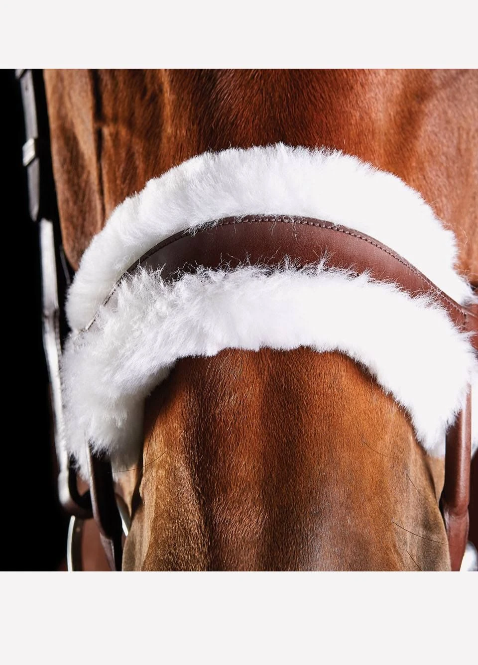 Collegiate ComFiTec Sheepskin Bridle - Brown