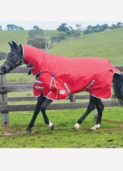 WeatherBeeta ComFiTec Classic Combo Neck Lite - Red/Silver/Navy