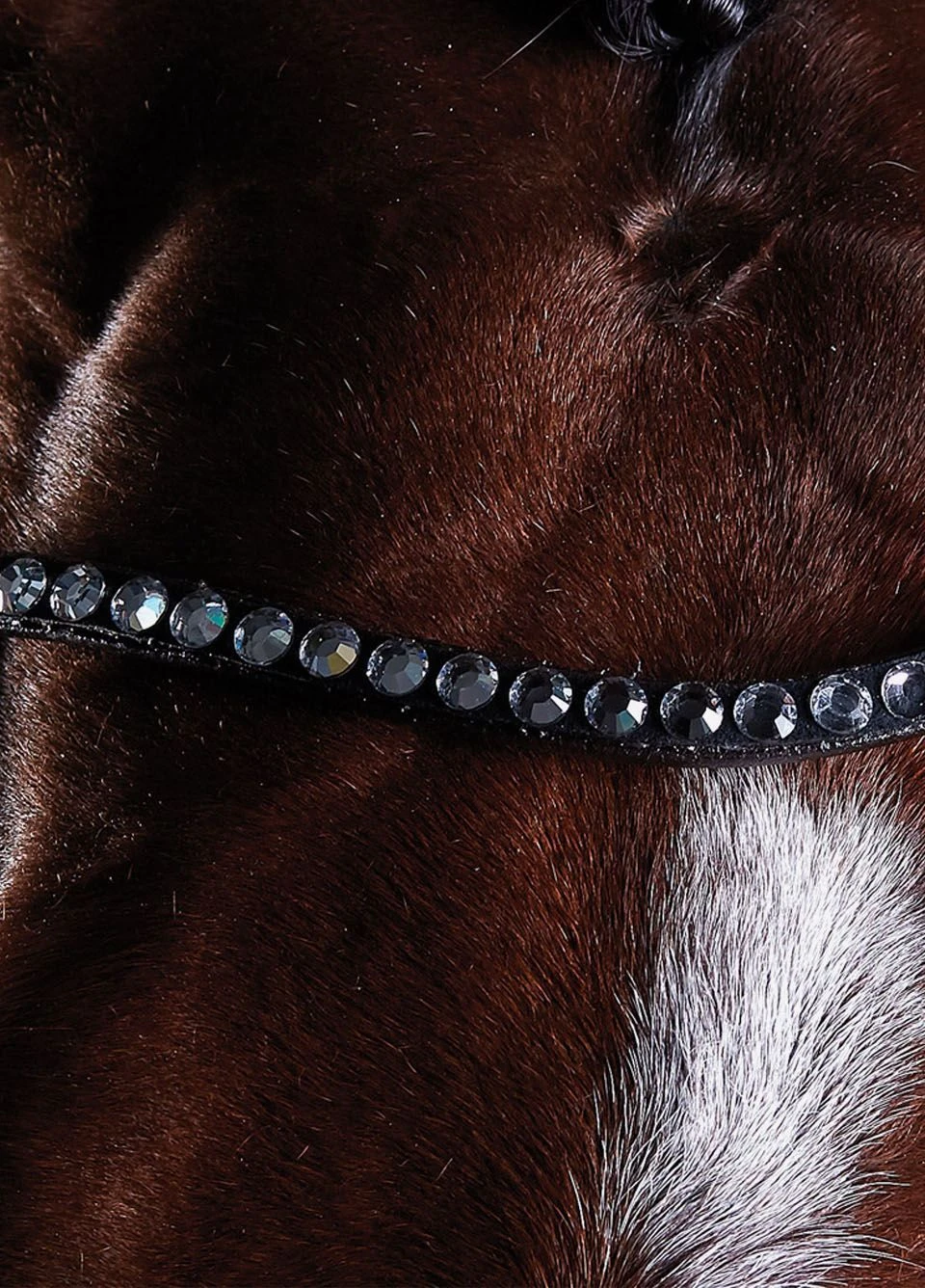 Collegiate Comfitec Crystal Training Bridle - Brown