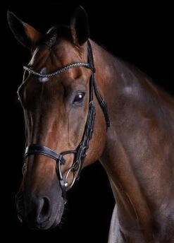 Collegiate Comfitec Crystal Training Bridle - Black