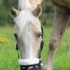 Shires Deluxe Comfort Grazing Muzzle - Black