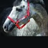 Horseware Fieldsafe Headcollar - Red