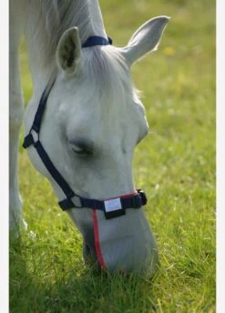 Equilibrium Field Relief Muzzle Protector - Grey