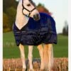 Amigo Mio Stable Rug Heavy 300g - Navy