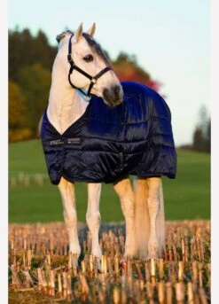 Amigo Mio Stable Rug Heavy 300g - Navy