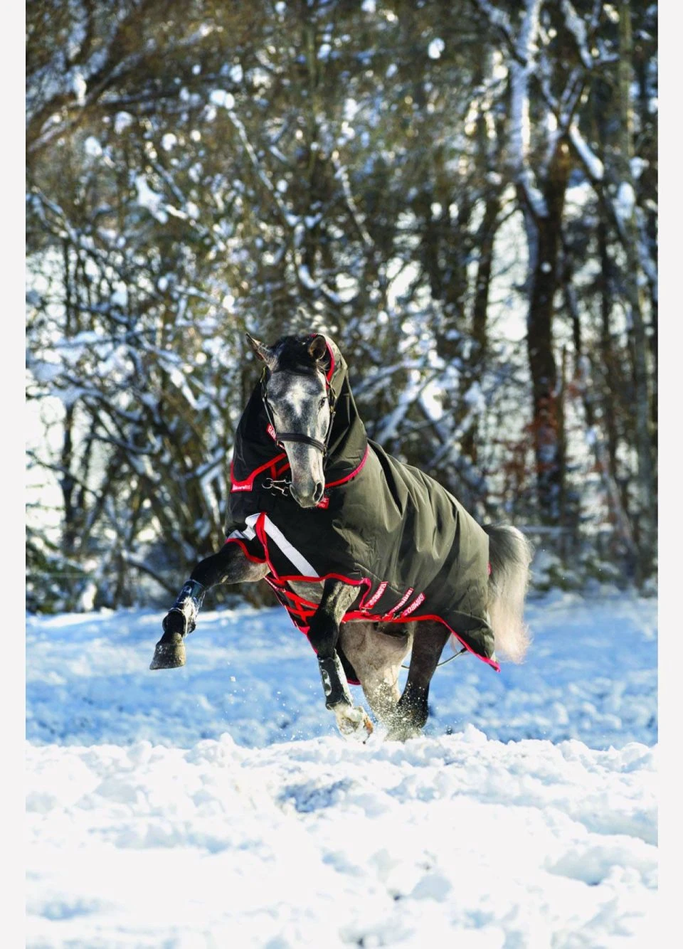 Rambo Supreme Vari-Layer Heavy Turnout Rug 450g - Black/Red