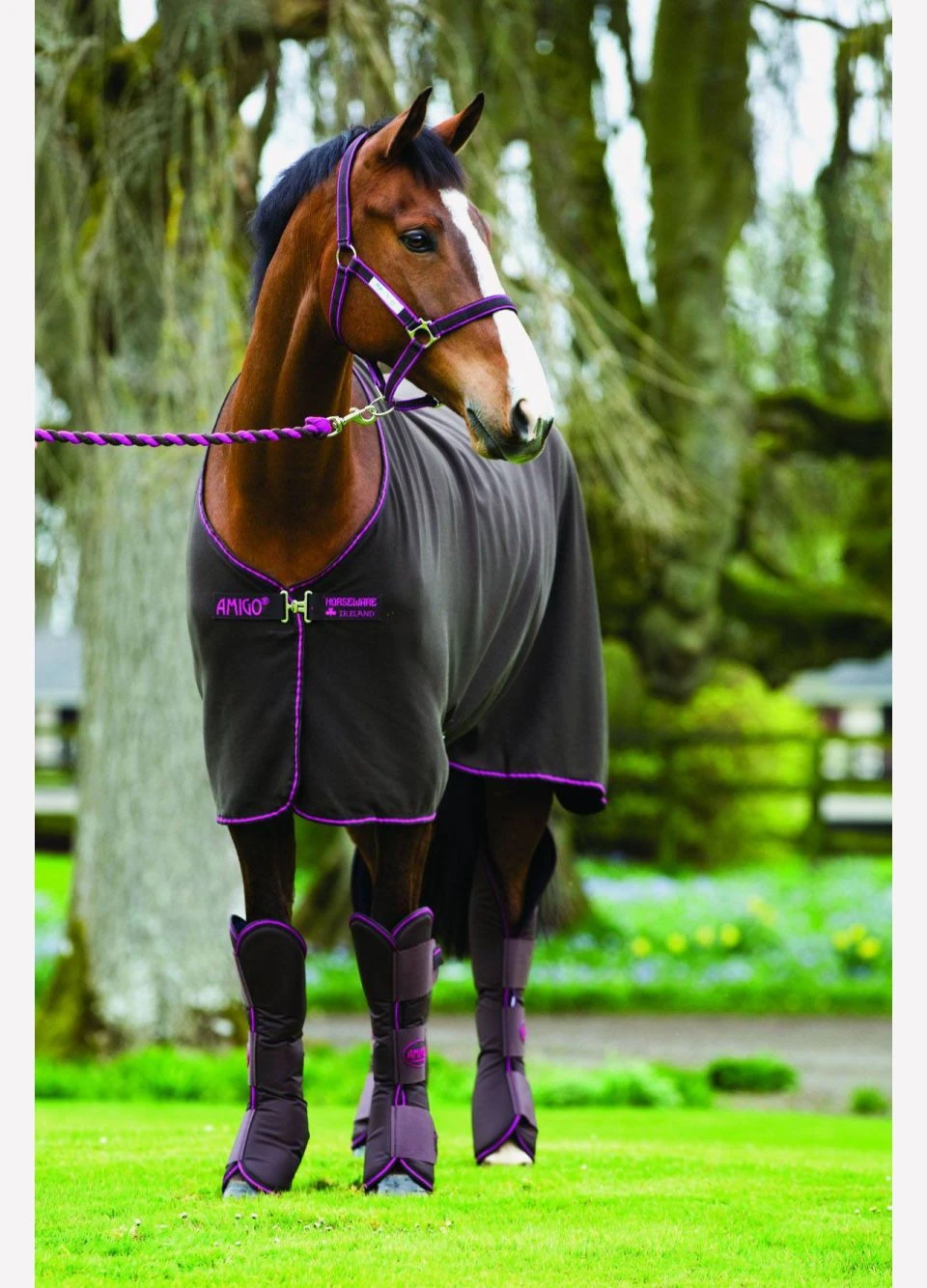 Amigo Headcollar - Navy/Silver