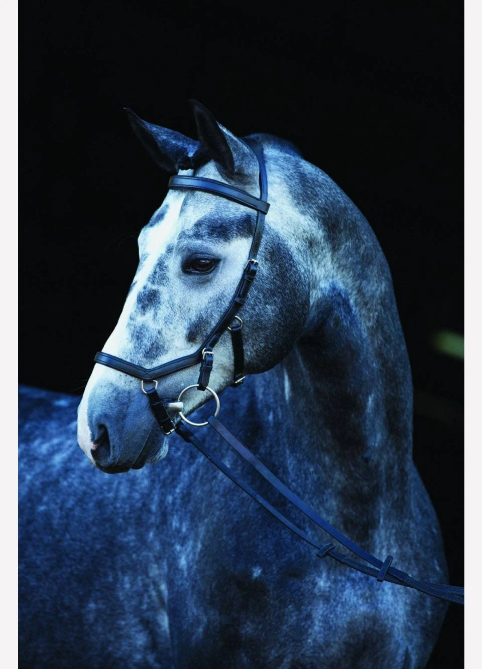 Rambo Micklem Competition Bridle - Black