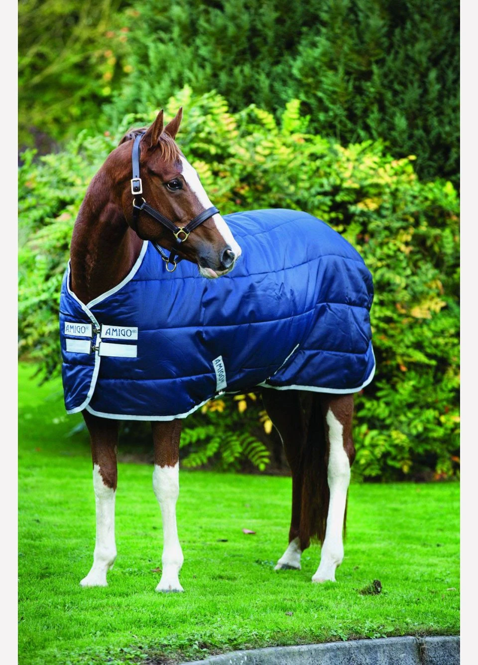 Amigo Medium Insulator Rug - Navy