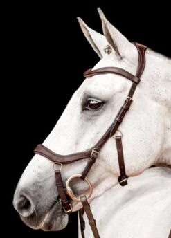 Horseware Micklem 2 Competition Bridle - Dark Havana