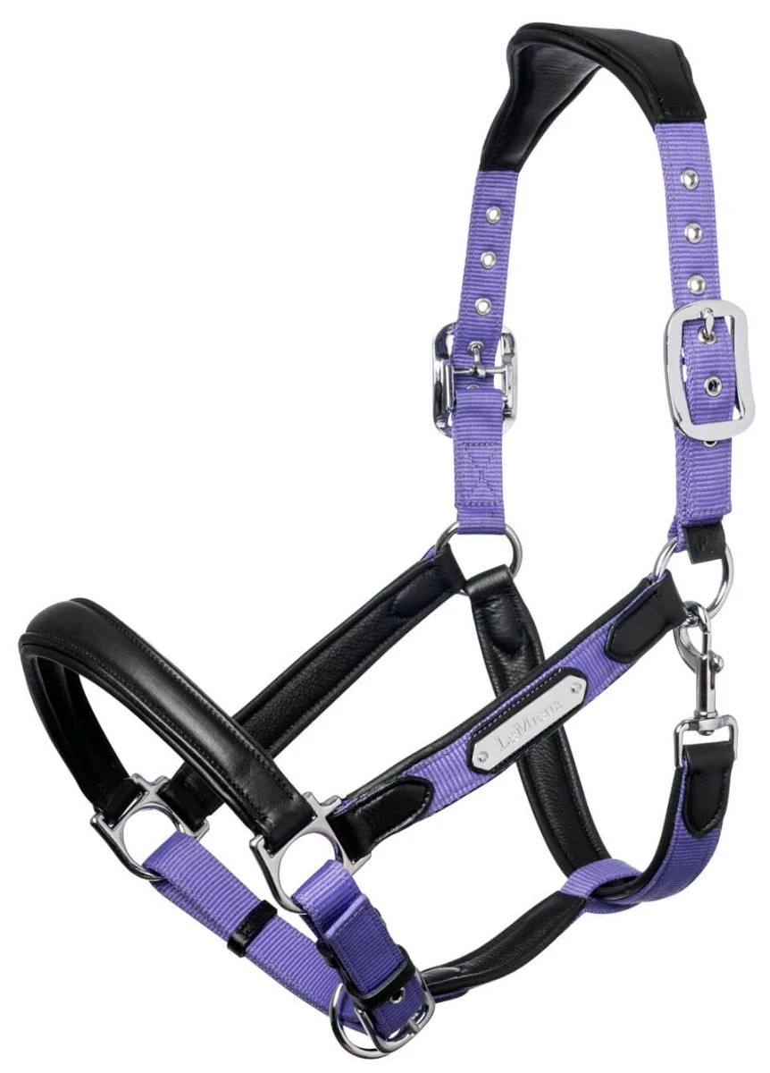 LeMieux Capella Headcollar - Bluebell