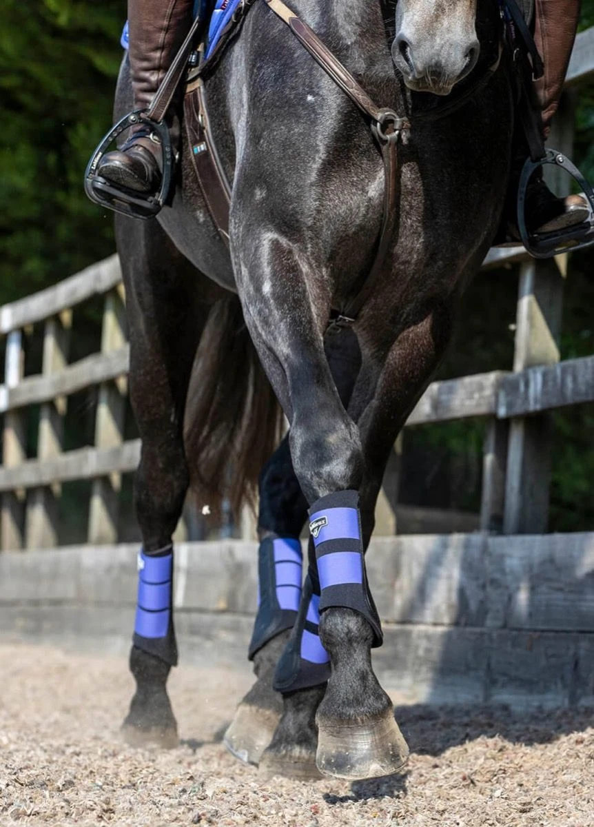 LeMieux Grafter Brushing Boots - Bluebell