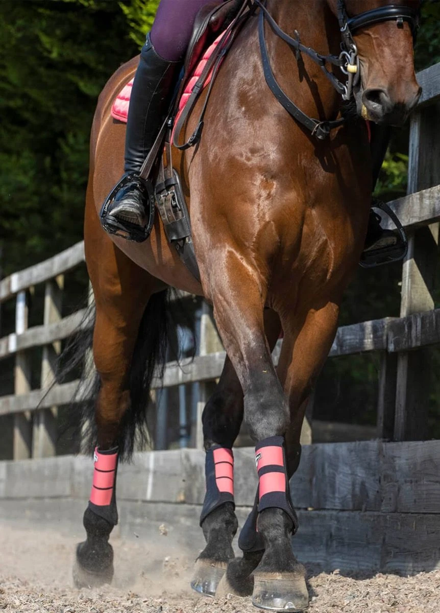 LeMieux Grafter Brushing Boots - Papaya