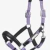 LeMieux Capella Headcollar - Iris
