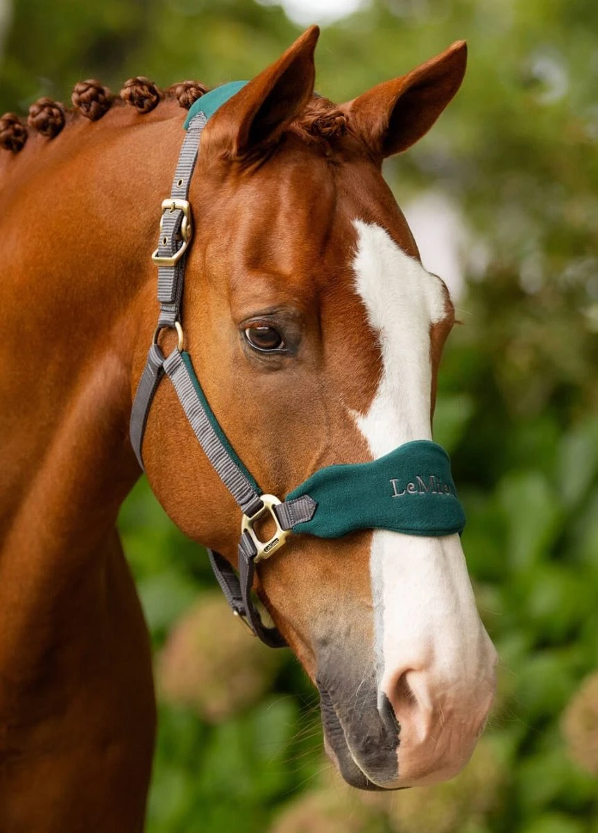 LeMieux Vogue Fleece Headcollar & Leadrope - Spruce
