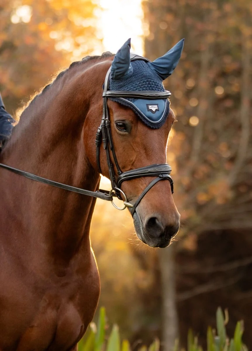 LeMieux Loire Fly Hood - Atlantic