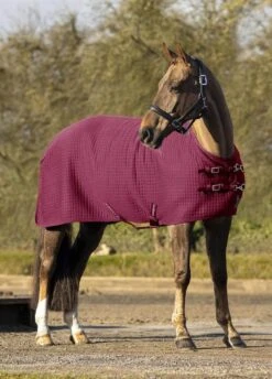 LeMieux Arika Clima-Tek Rug - Burgundy