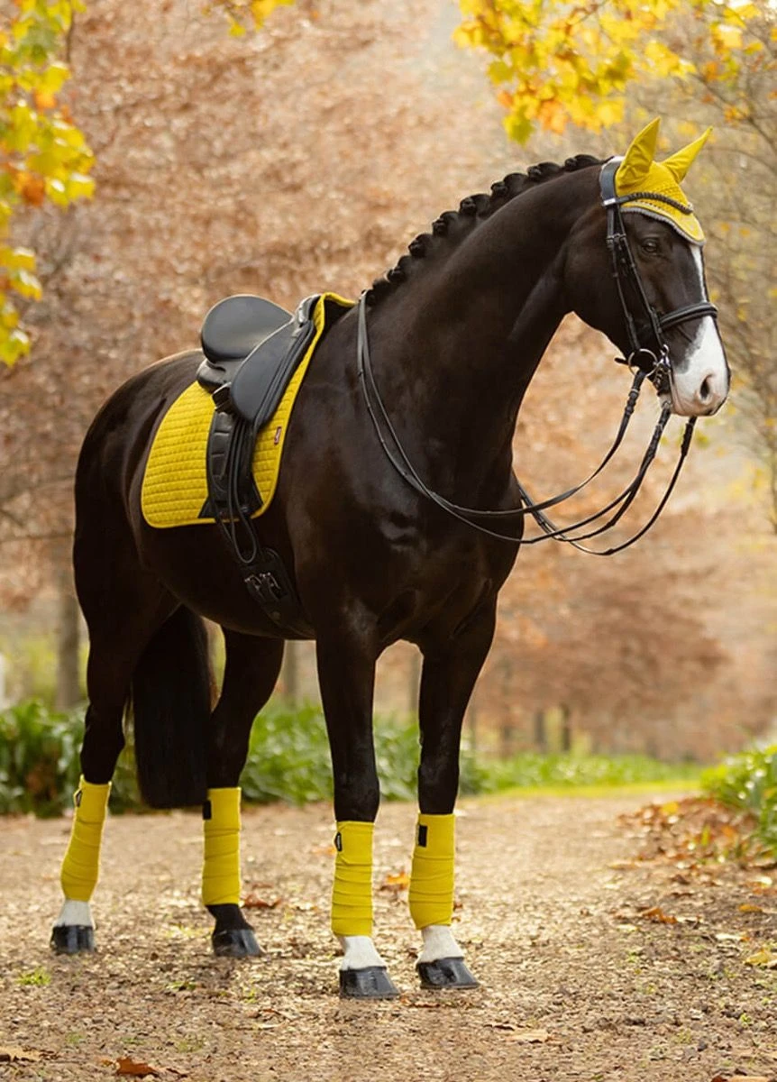 LeMieux Classic Polo Bandages - Dijon