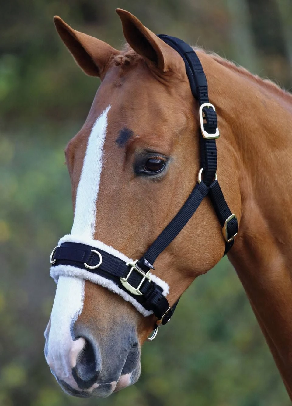 Shires Fleece Lined Lunge Cavesson - Black