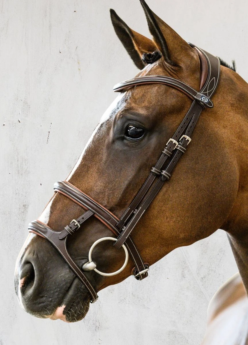 PS of Sweden Paris Bridle - Brown