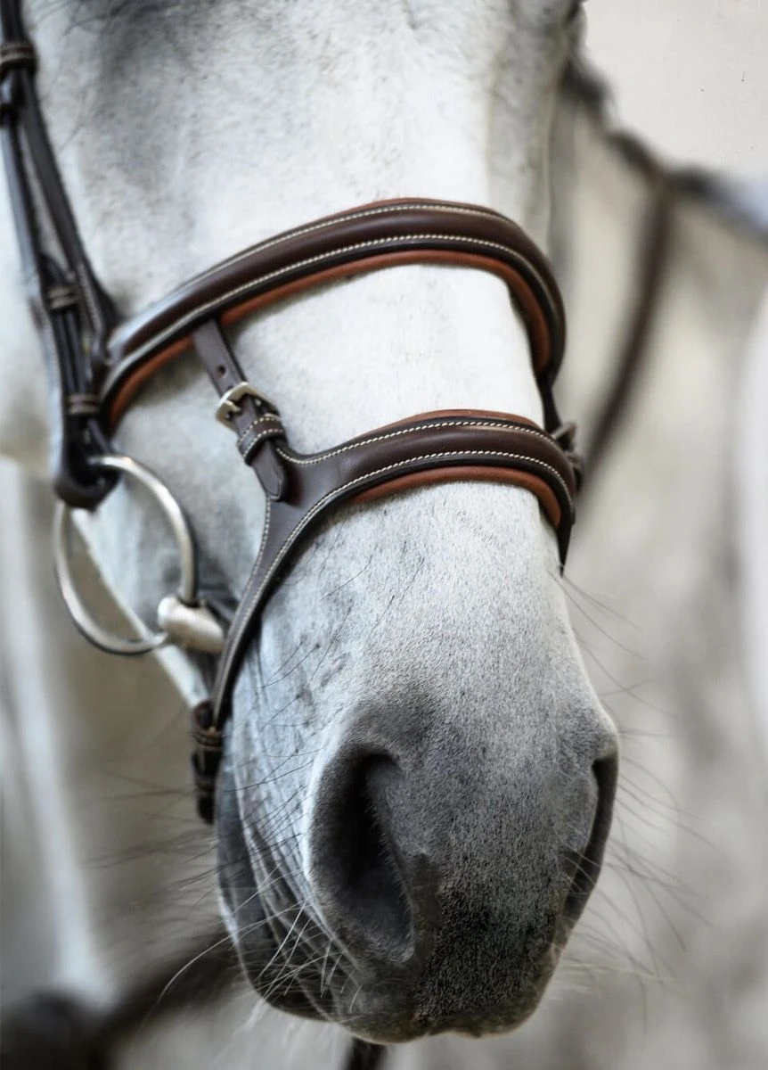 PS of Sweden Paris Bridle - Brown