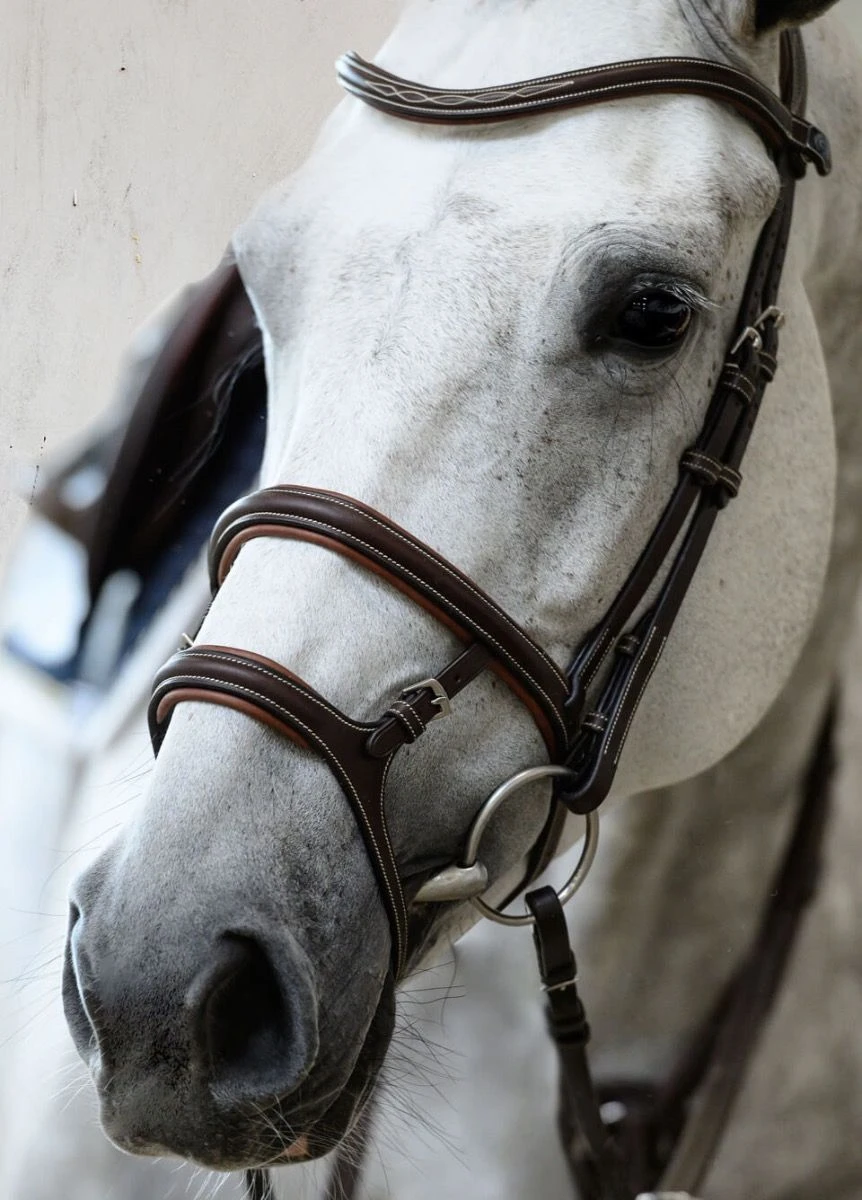 PS of Sweden Paris Bridle - Brown