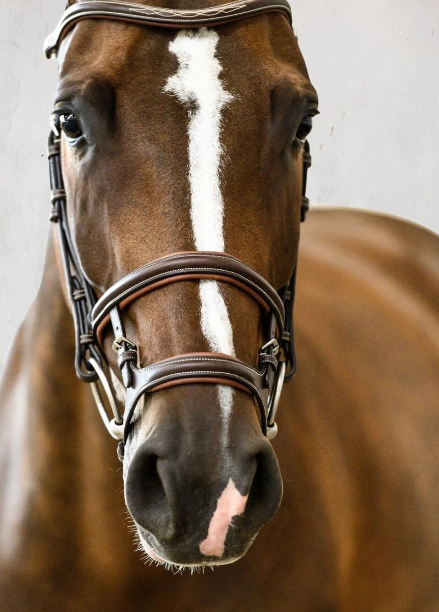 PS of Sweden Paris Bridle - Brown