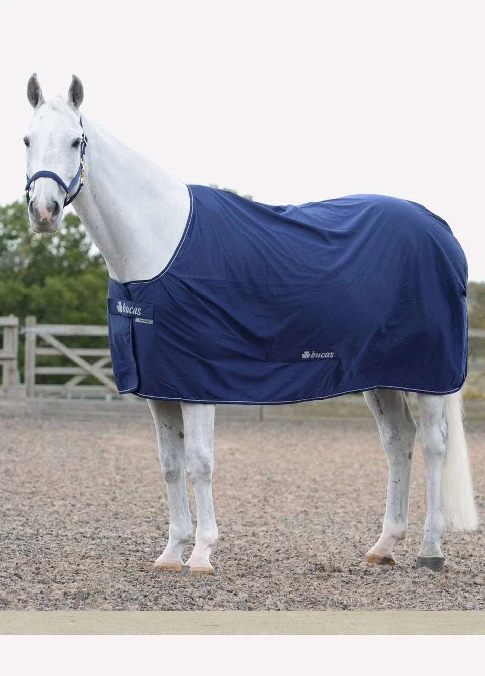 New Bucas Power Cooler - Navy