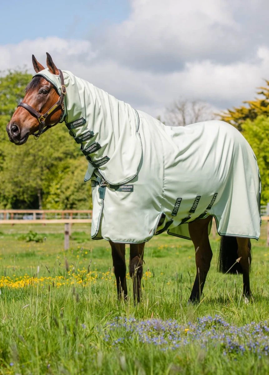 Rambo Hoody - Green/Sage