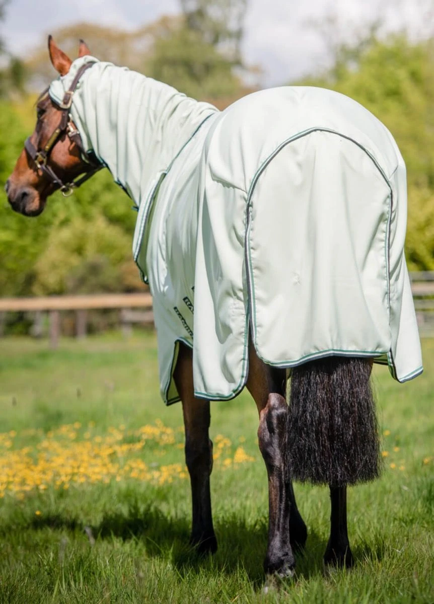 Rambo Hoody - Green/Sage