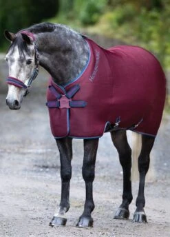 Rambo Airmax Cooler Disc Front - Burgundy