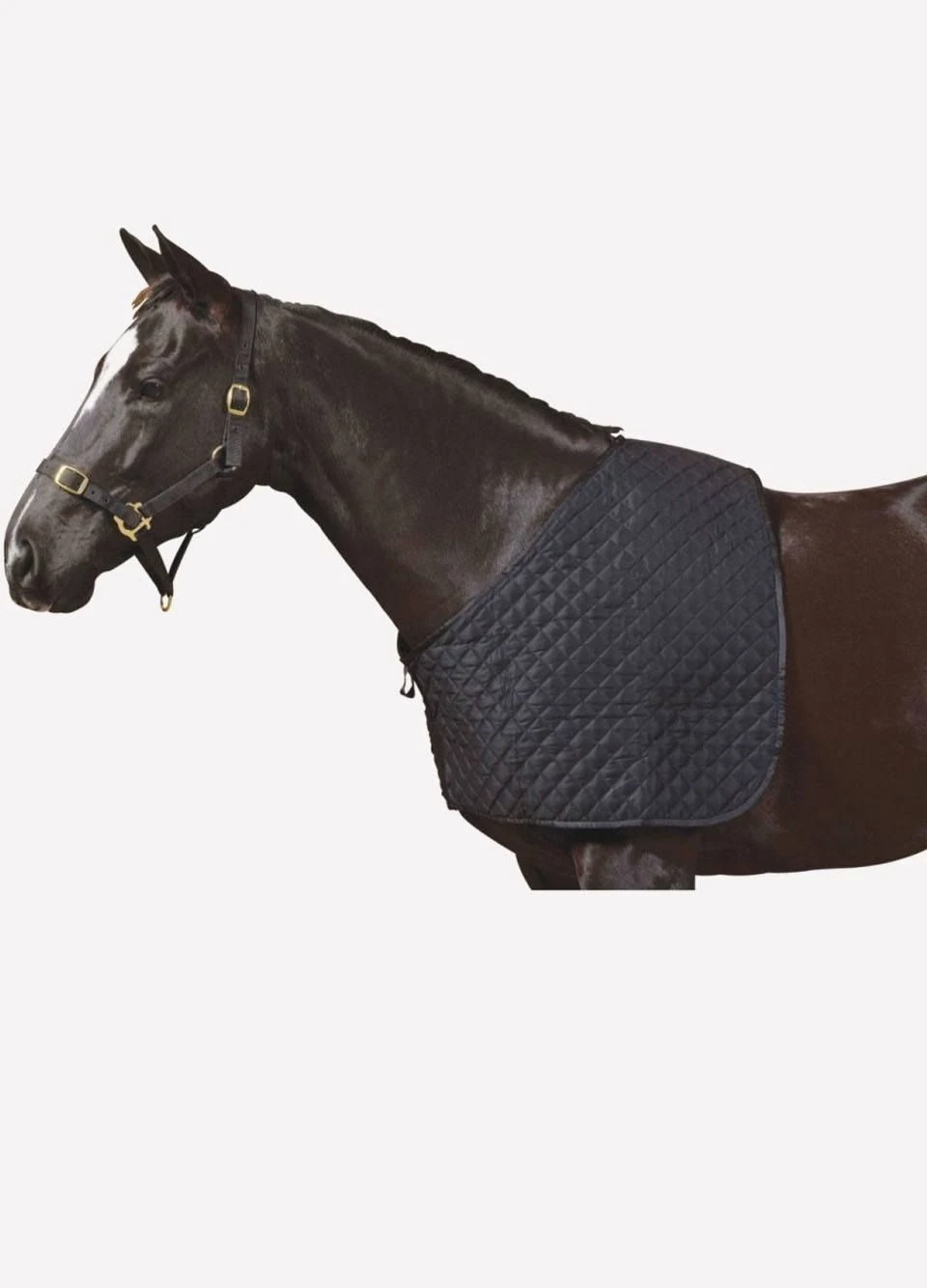 Weatherbeeta Deluxe Shoulder Guard - Black