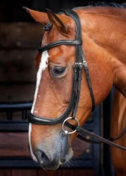 Shires RAPIDA Ergonomic Cavesson Bridle W/reins - Black