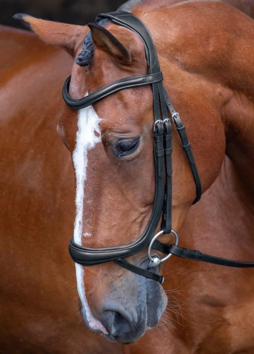 Shires Rapida Ergonomic Curved Flash Bridle - Black