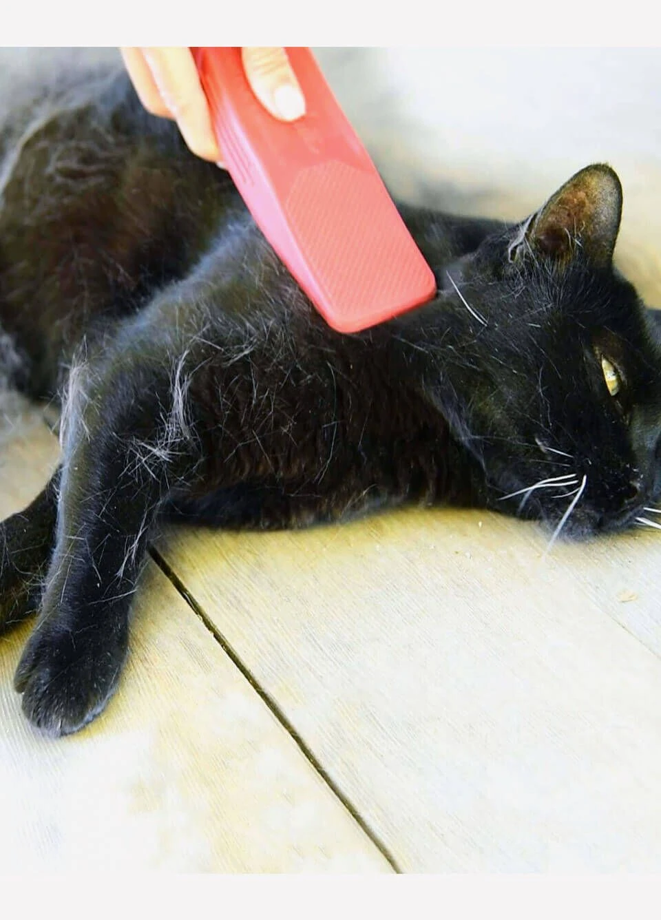 KM Elite Strip Hair Gentle Groomer - Pet