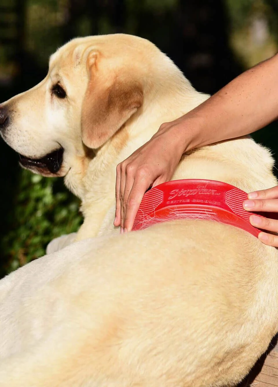 KM Elite Strip Hair Gentle Groomer - Pet