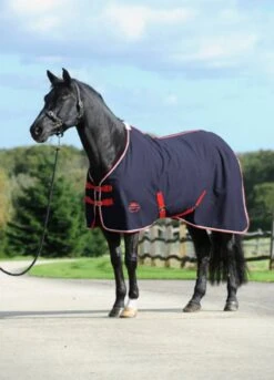 Weatherbeeta Cotton Show Sheet - Navy/Red/White