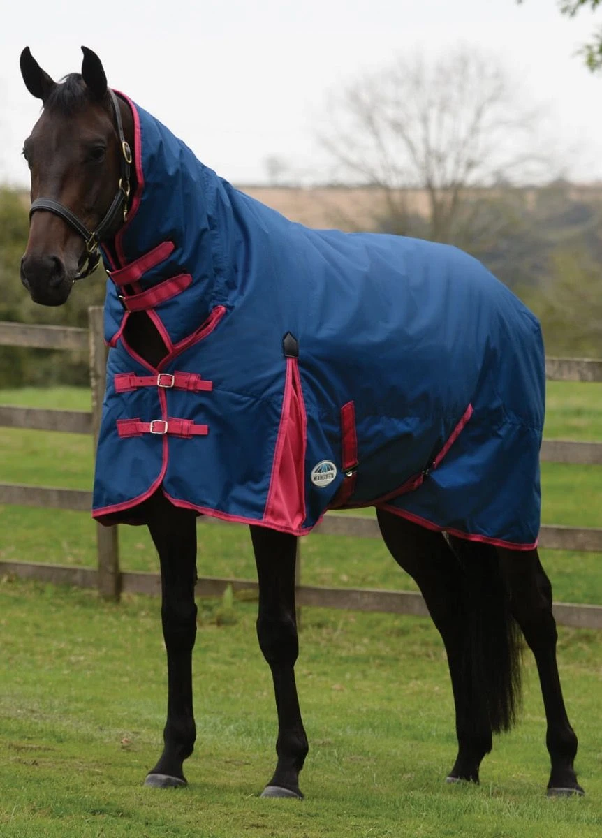 Weatherbeeta ComFITec Classic Combo Neck Medium - Blueberry/Pink