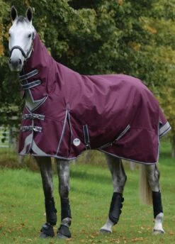 Weatherbeeta ComFITec Plus Dynamic II Combo Neck Medium - Maroon/Grey/White