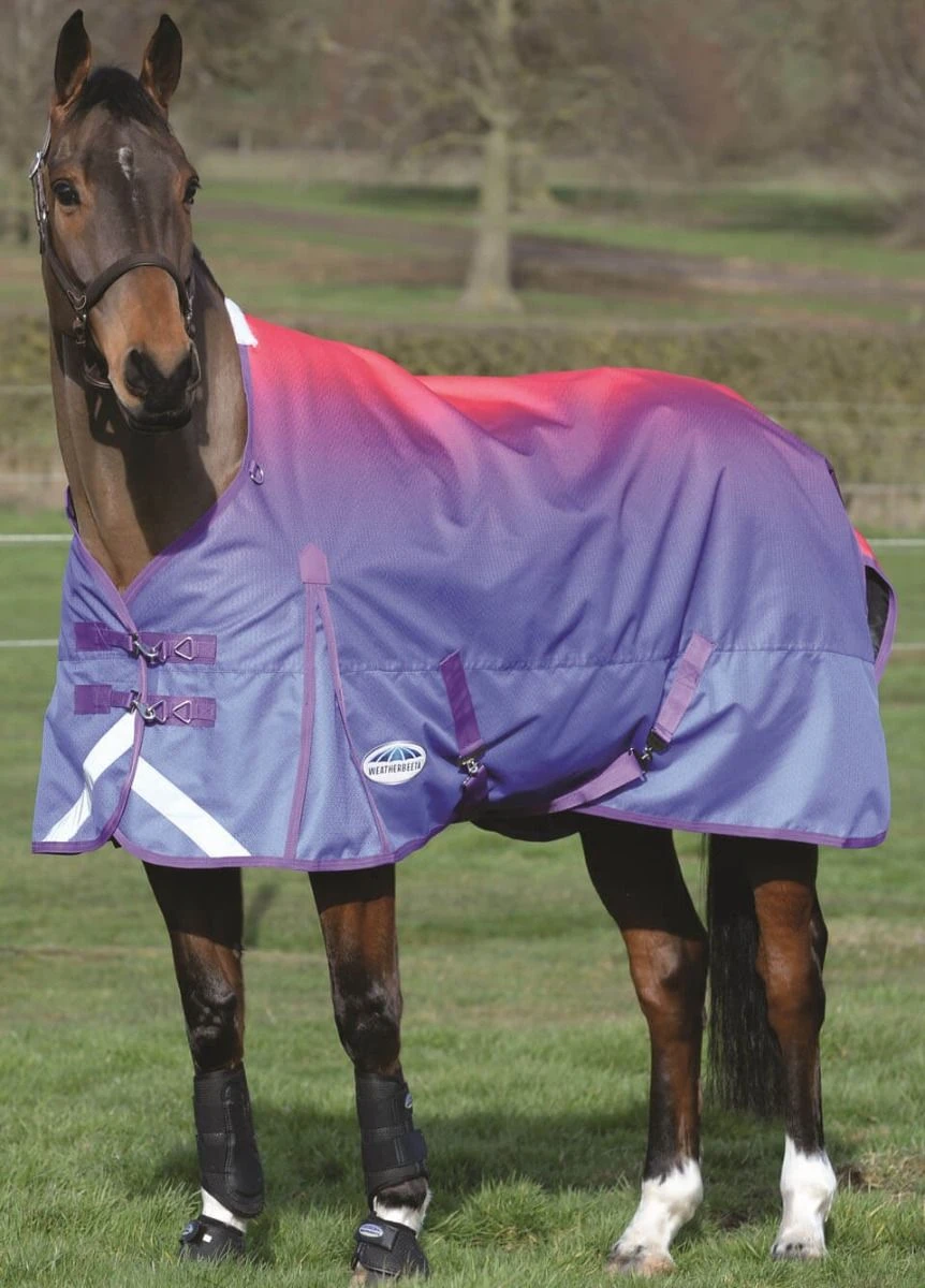 Weatherbeeta ComFiTec Plus Dynamic Standard Neck Lite Turnout Rug - Purple Ombre