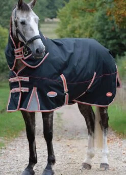 Weatherbeeta ComFITec Premier Therapy-Tec Detach-A-Neck Lite Plus - Black/Silver/Red