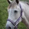 Weatherbeeta Coordinate Headcollar - Purple/Brown/Blue